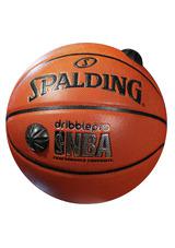 DribblePro Basketball - NBA Composite